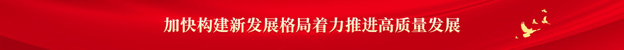 加快構建新發展格局著力推進高質量發展